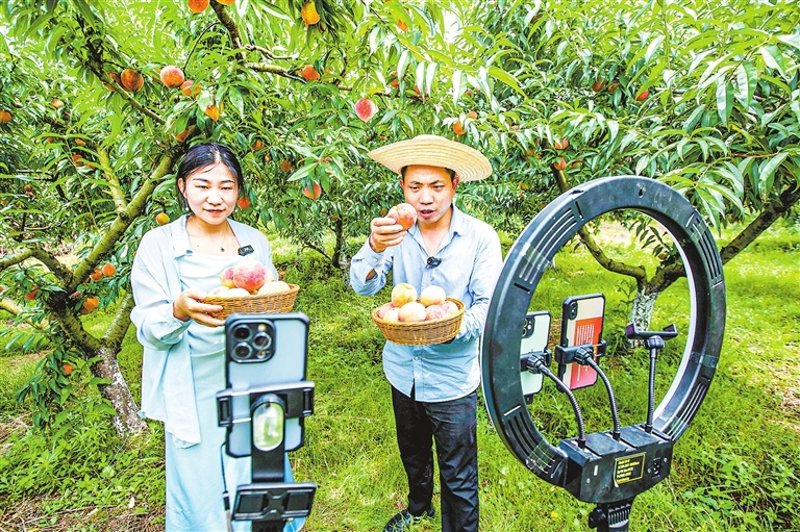 电商界的新星：源潺电商如何引领行业潮流